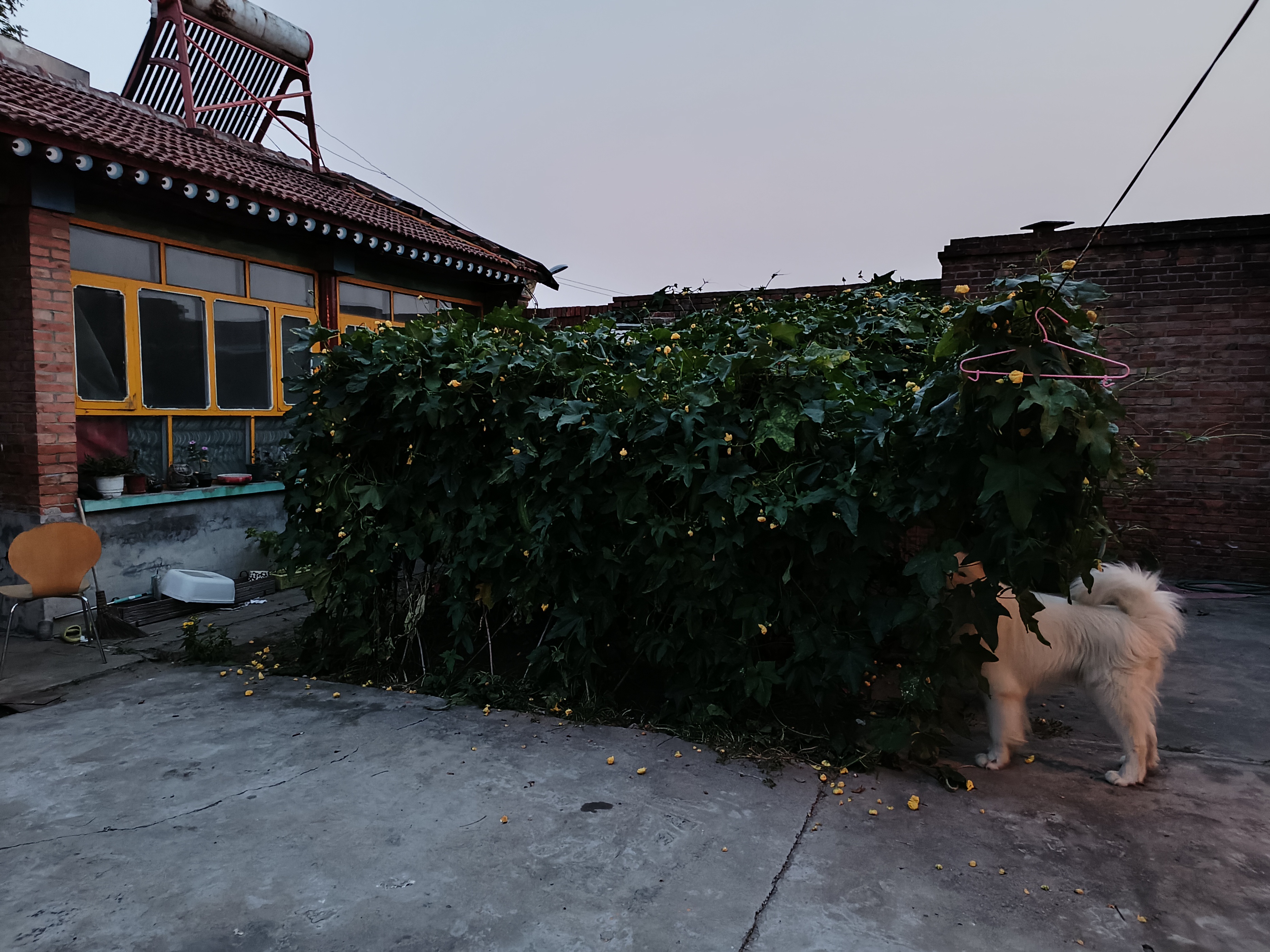 46岁前总经理找工作:差点被骗买房、误入传销,黄了5份工作,“只想找份工作,没想这么不靠谱”