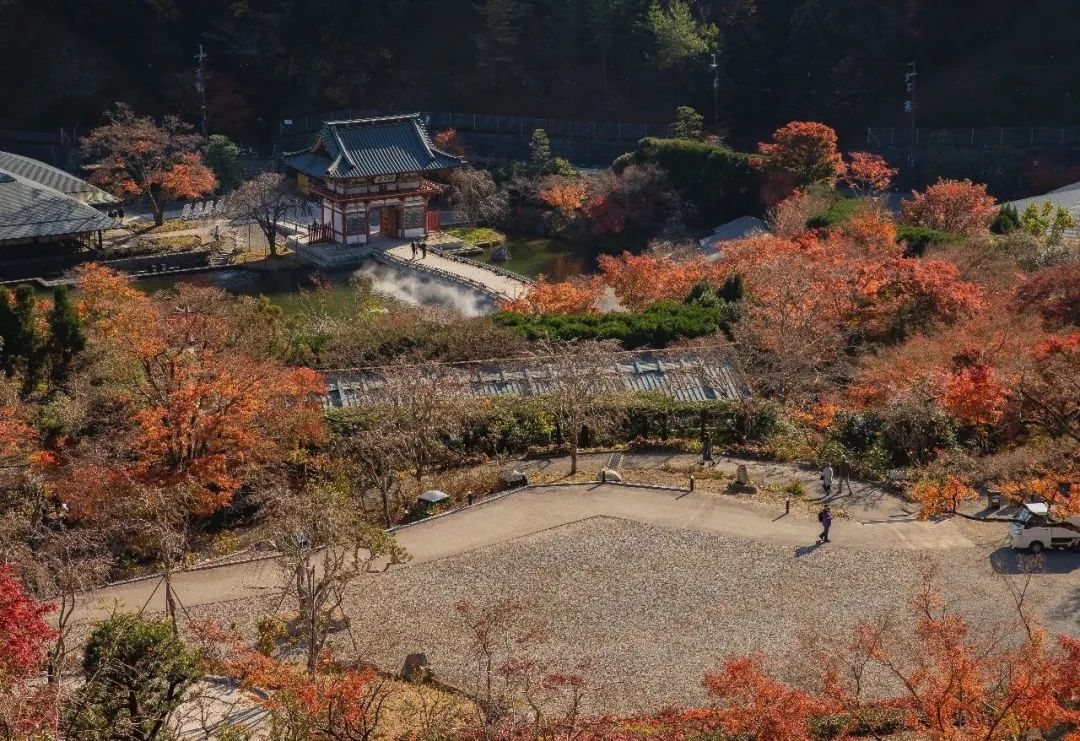 乡村振兴战略赋能十大模式和案例,乡村振兴产业振兴案例