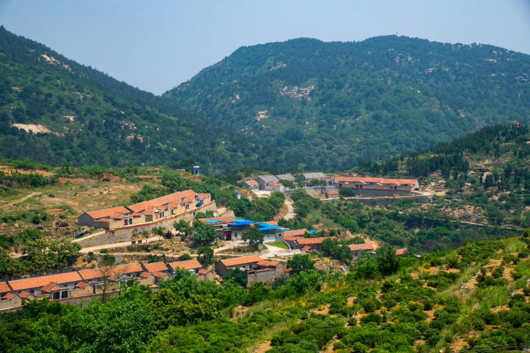 俺莱芜有美景|四季予你诗画香山