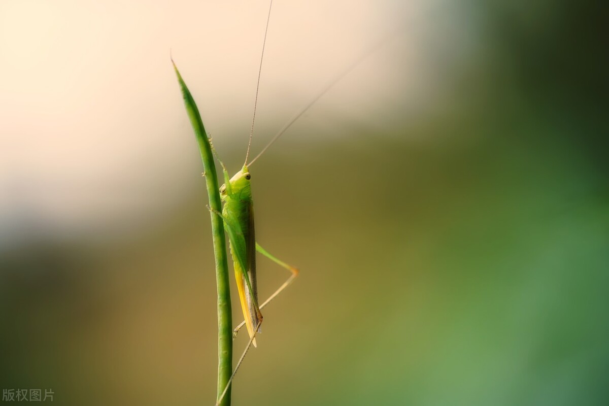 疫情当前你有危机感吗,疫情下我们该怎么活