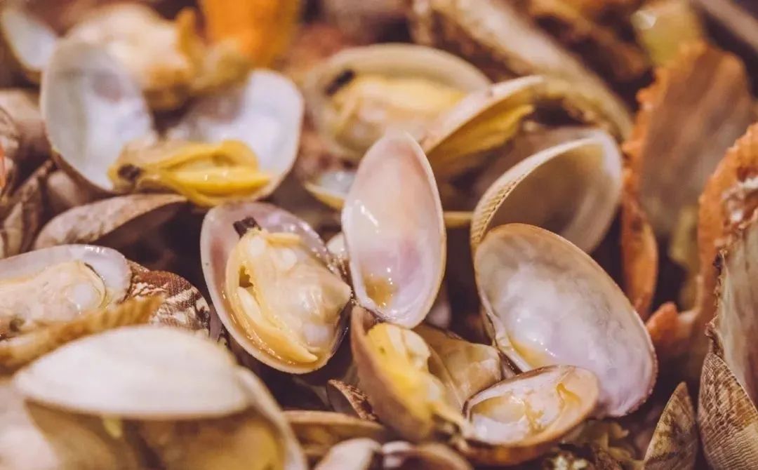 特价抢鲜,抢鲜第一波