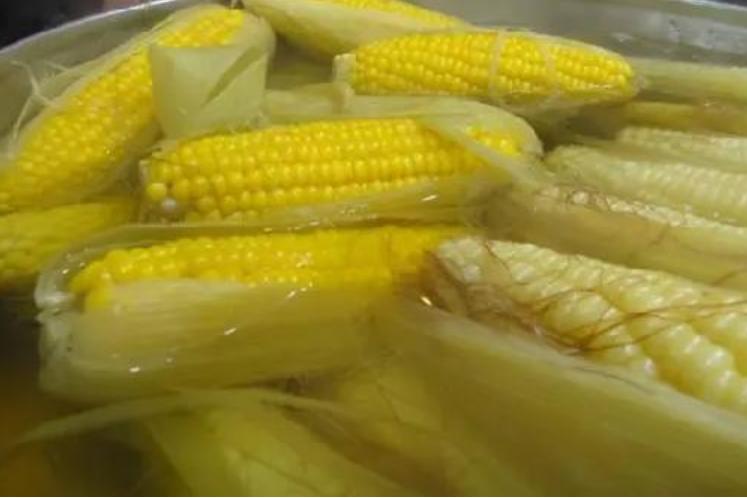 孩子春季长高吃哪种钙片比较好,春季长高黄金期孩子蹿个儿有妙招