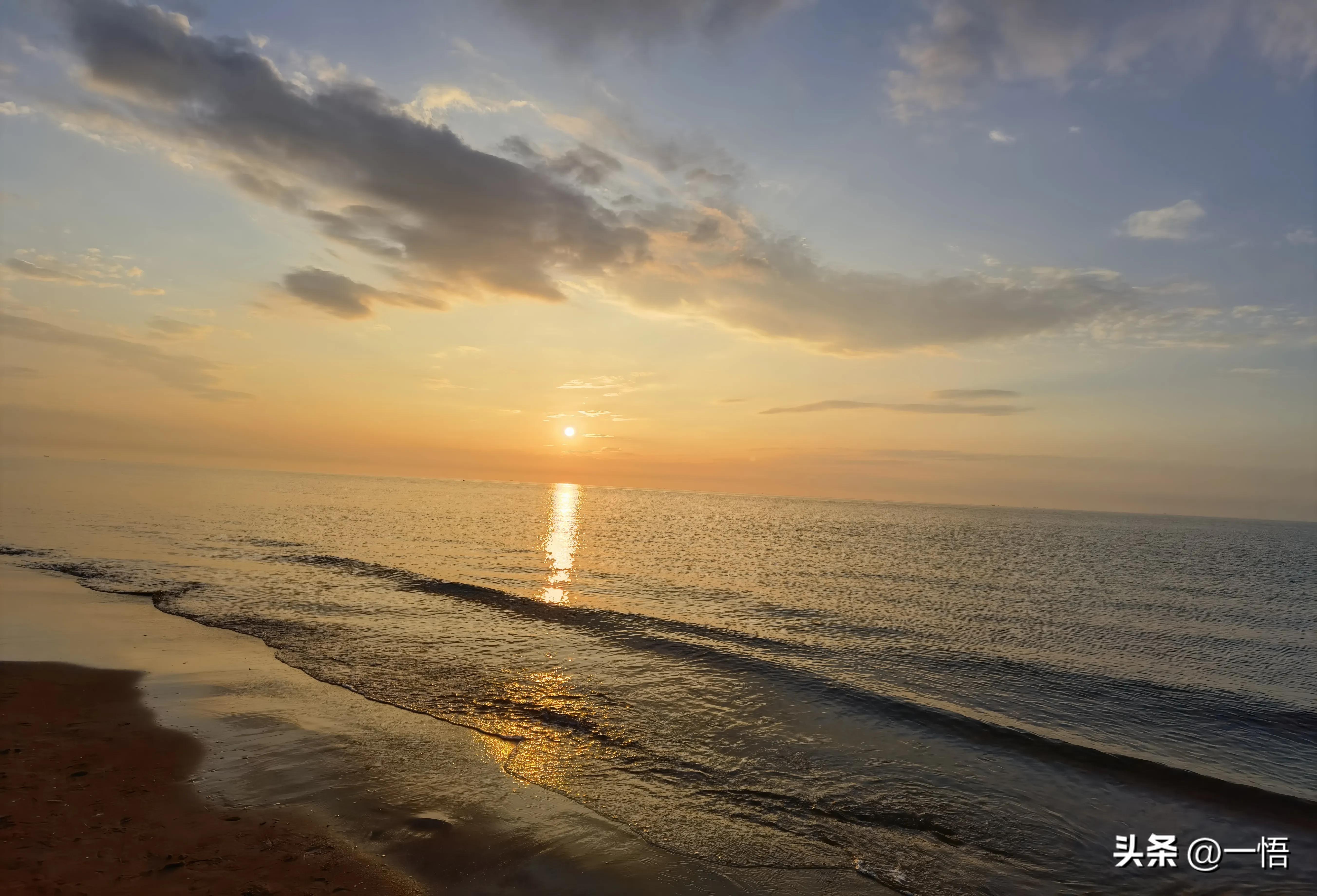 2023上海到秦皇岛承德十日游第四天：看阿那亚的海，逢犬舍的安娜