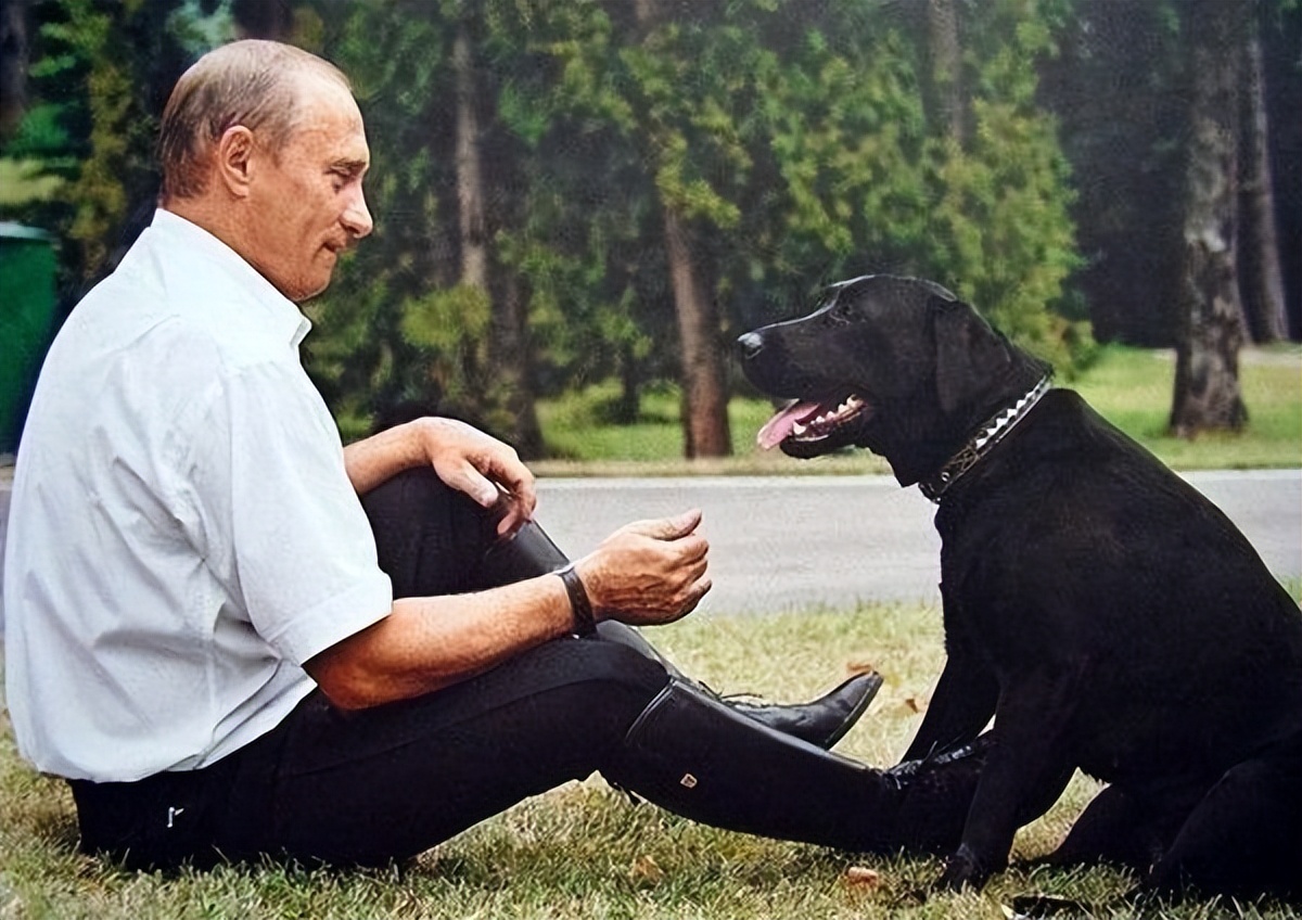 默克尔见到普京的狗子,普京的狗狗和默克尔