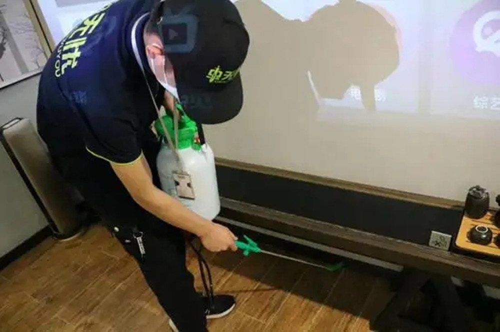 家里蟑螂少用哪种蟑螂药,家里蟑螂多不要踩