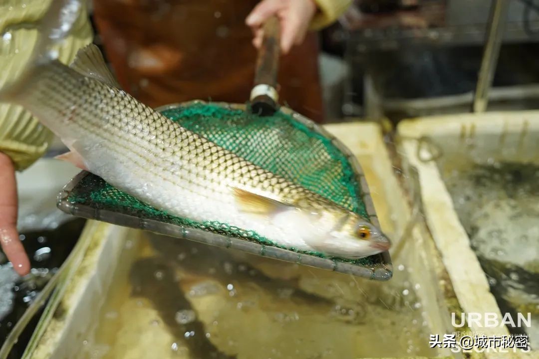 艮山门在拱宸桥北面,杭州艮山门水果市场简介