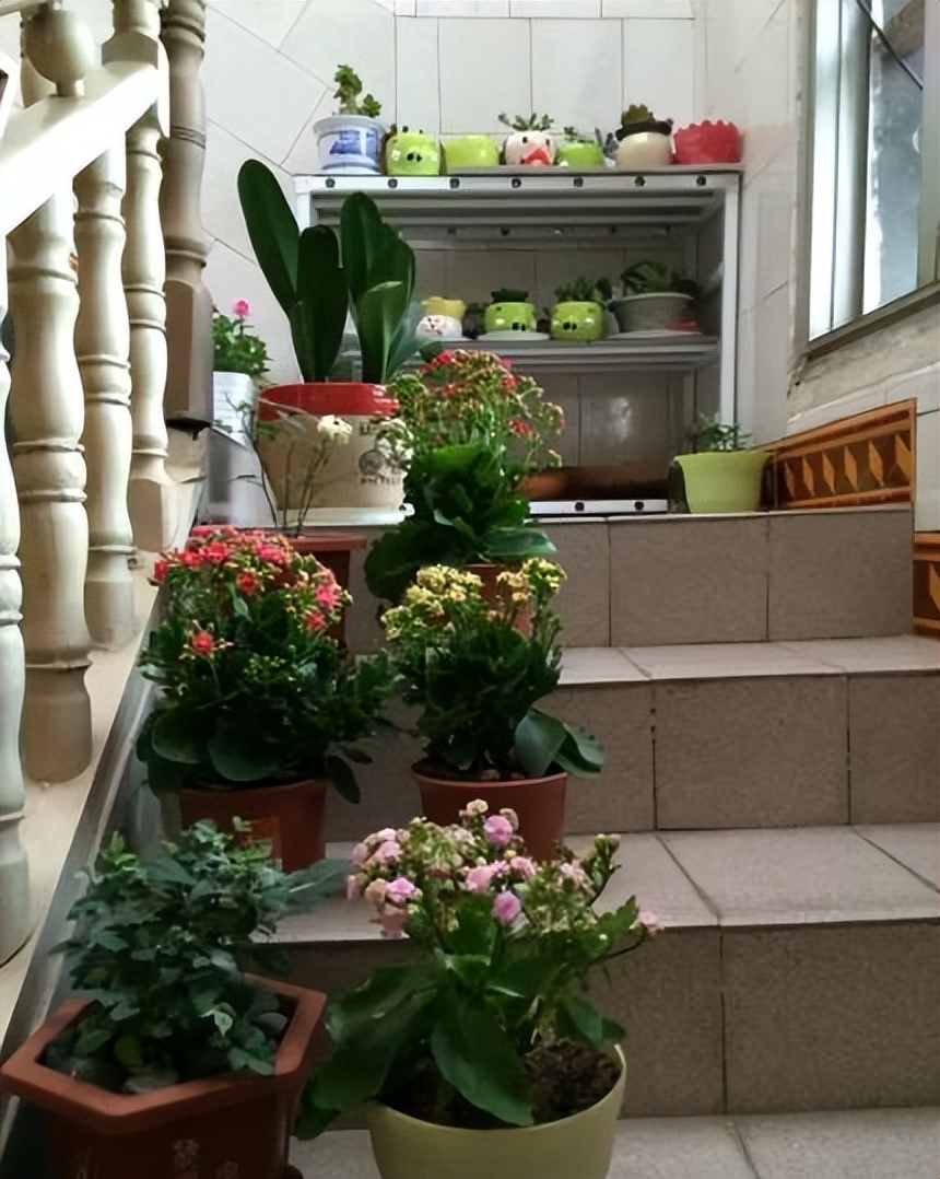 摊上这样的邻居,摊上这种邻居