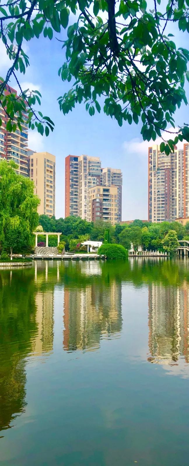 港剧那些年追过的剧,好港