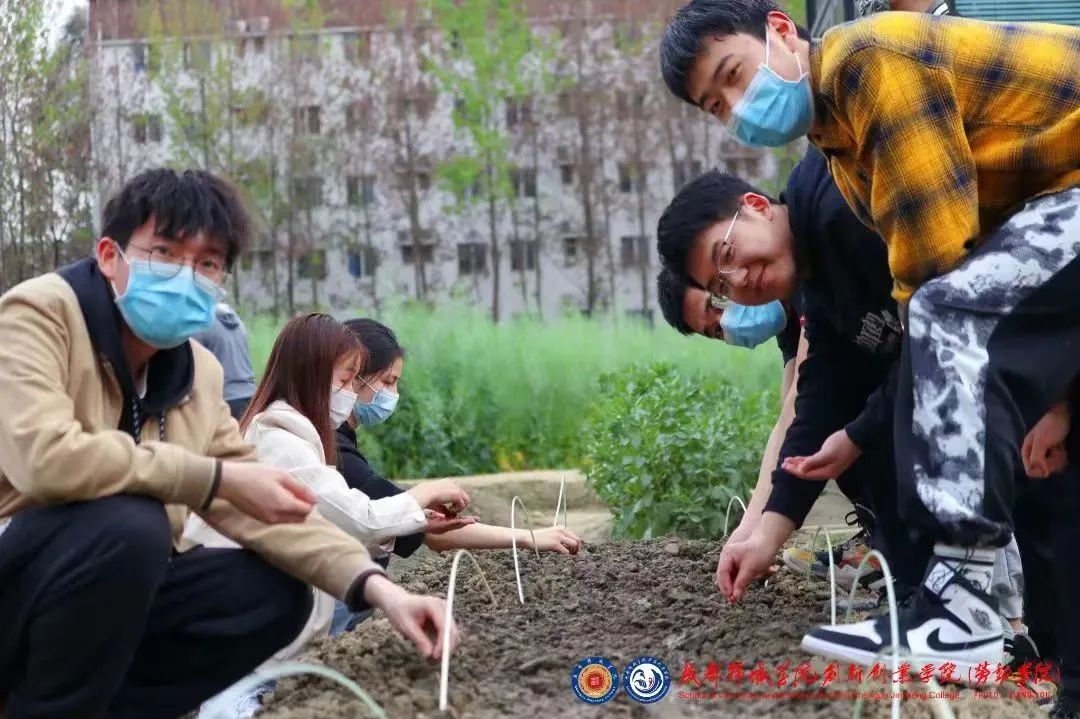 在成都读大学好就业吗,在成都读研究生是什么体验