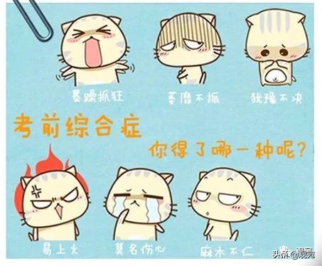 你被“考前综合征”侵袭了吗？别怕，仲景堂免费护航