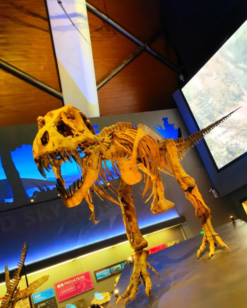 天津遛娃好地方,天津遛娃的免费公园