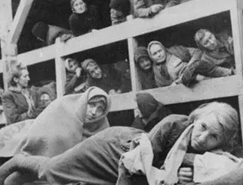 中国女孩被困德国集中营5年，得知其父亲身份，斯大林：快找到她