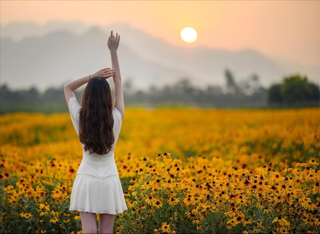 放飞梦想自由成长800字作文,放飞梦想自由翱翔的句子