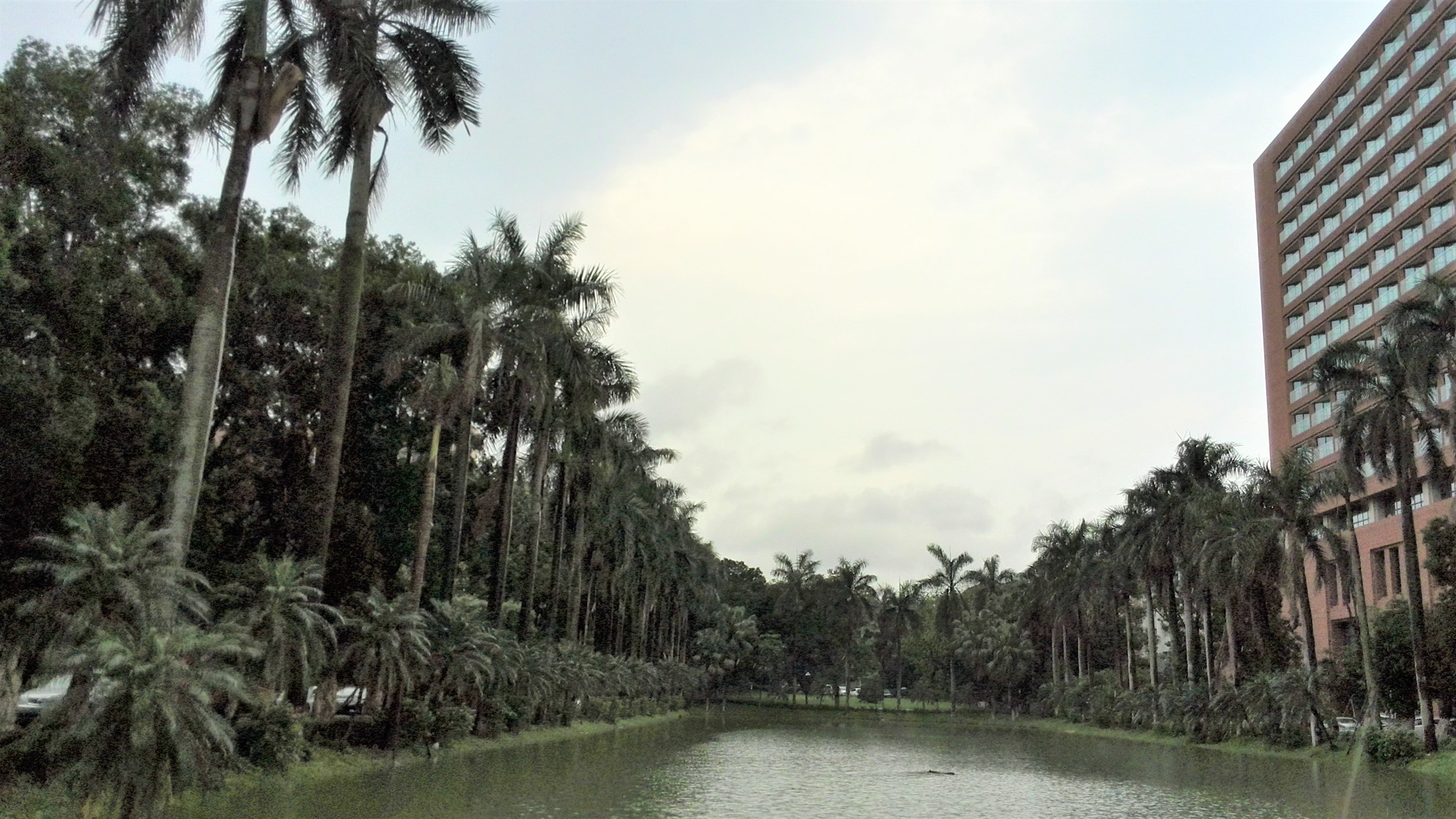 华南第一中山大学,中山大学广东人眼中的清华