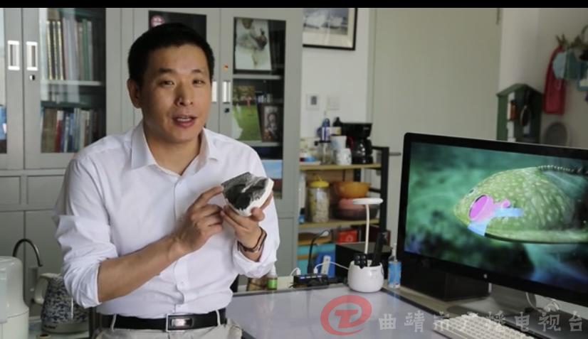 云南5亿年前鱼化石,中国远古鱼类化石