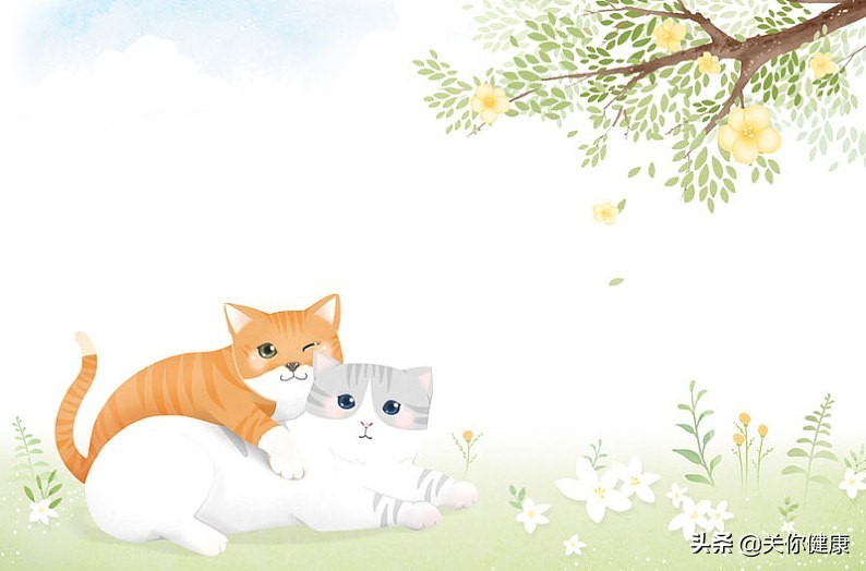 猫感染弓形虫会一直携带吗,弓形虫感染会侵犯一只眼睛吗