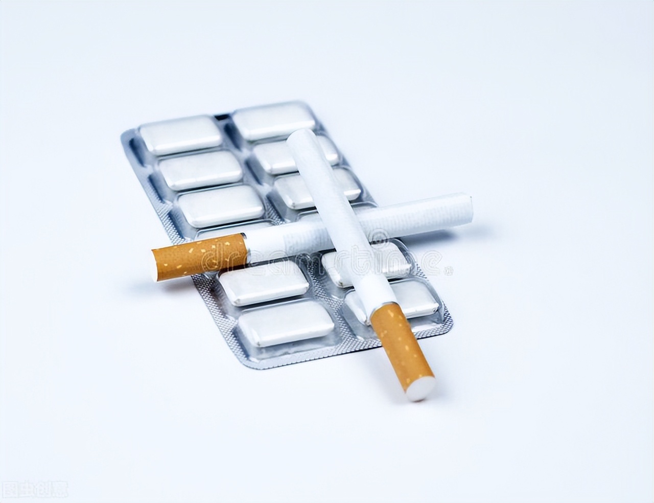 草产业的发展现状与展望,草产业发展现状与展望