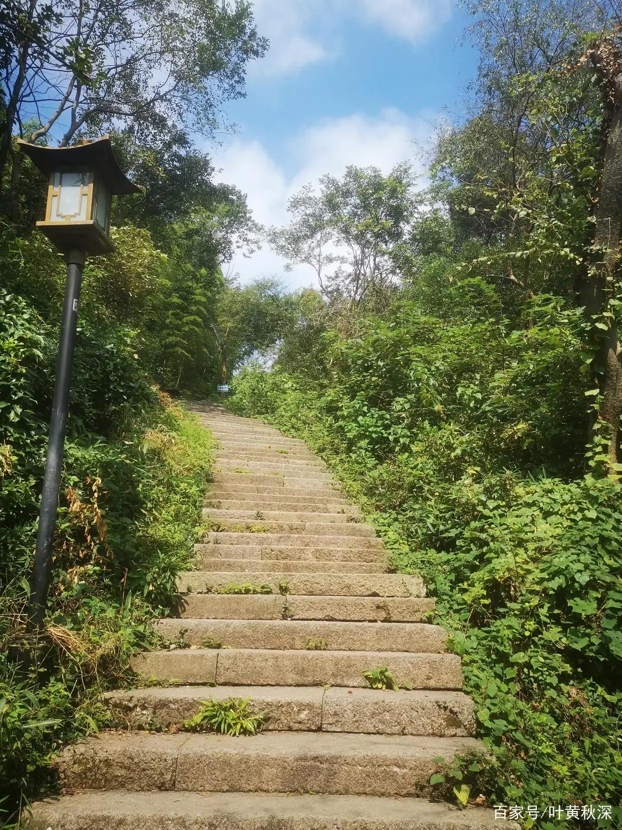 来湘湖赏花,去湘湖玩