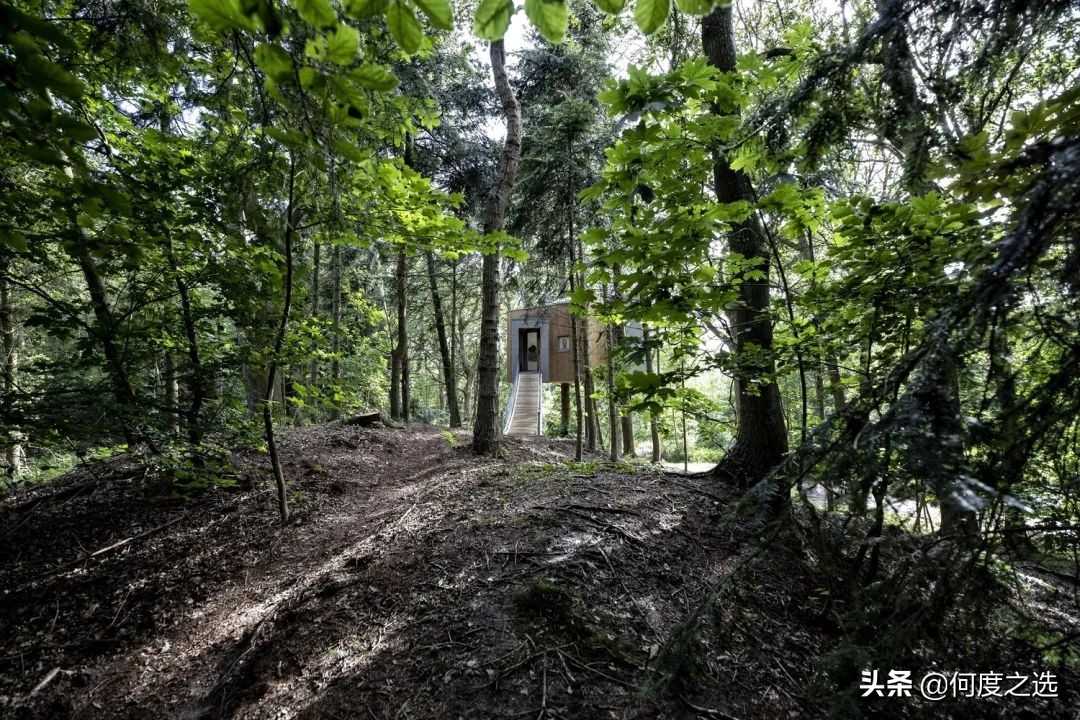 森林里的“树屋”：丹麦森林中建造的酒店，美到让人窒息
