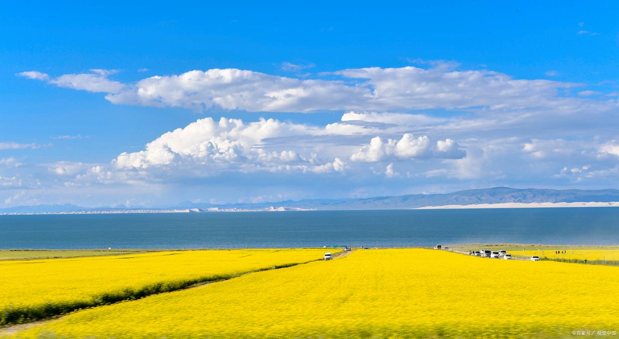 微帮同城招聘,微帮便民招聘