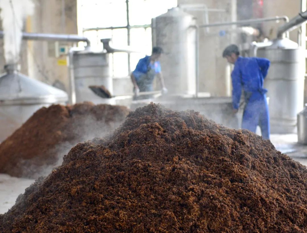 3场成交率90%的招商会，昭示杜康全国化怎样的“确定性”？