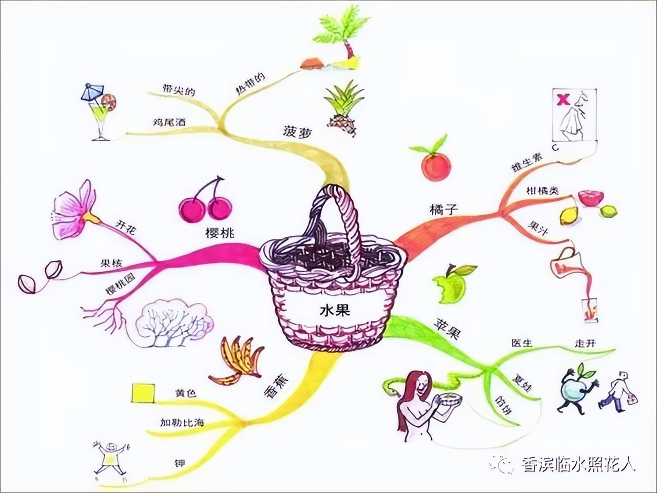 「我是小作家—作文」二年级看图作文——赵茗睿《送苹果》（5）
