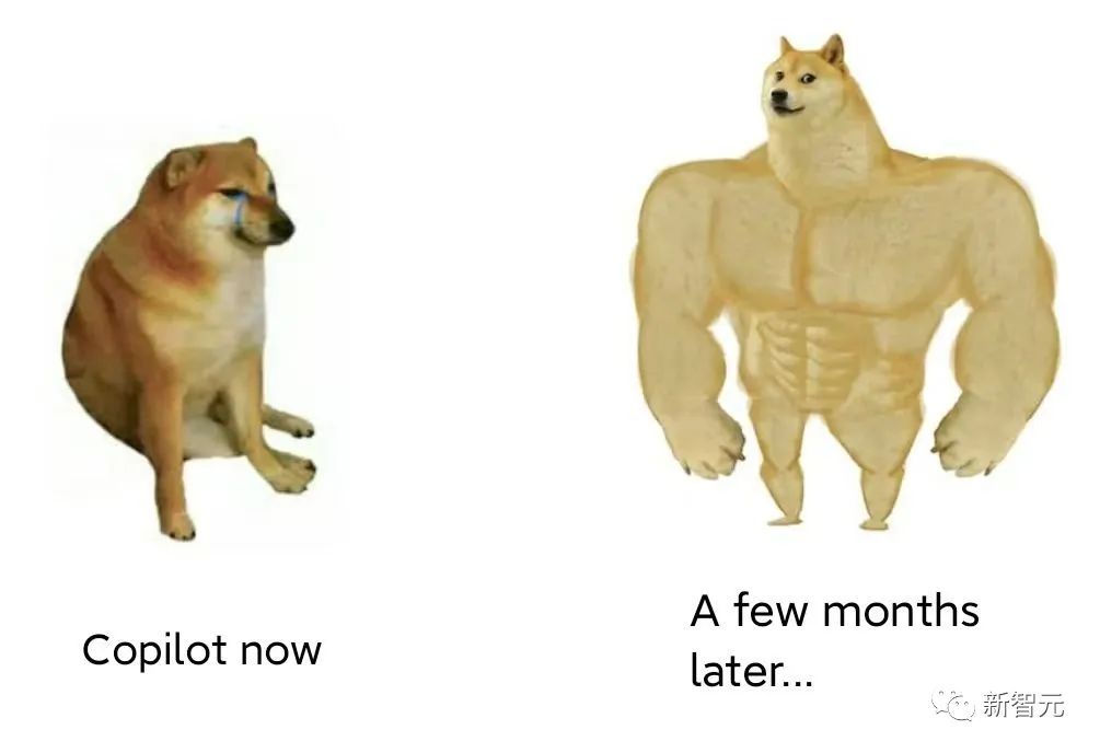 windowscopilot怎么更新,windowscopilot预览版申请