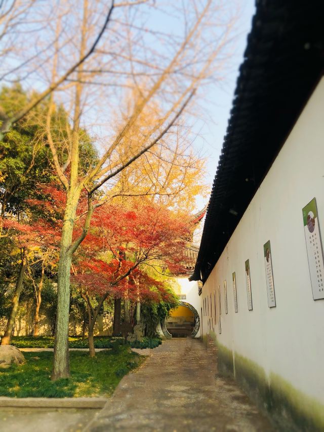 苏州秋季旅游最值得去的地方,苏州赏秋一日游攻略