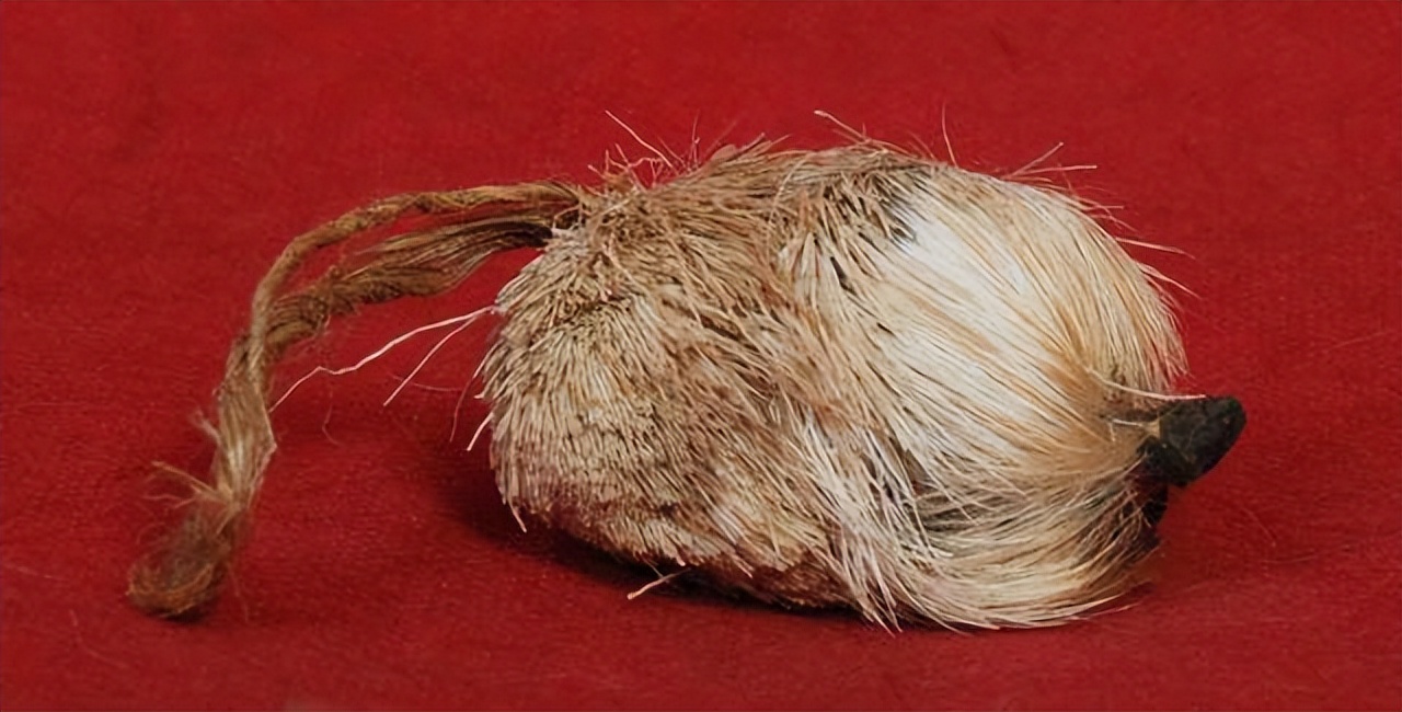 古代女子是如何避孕的,古代女子避孕的方法