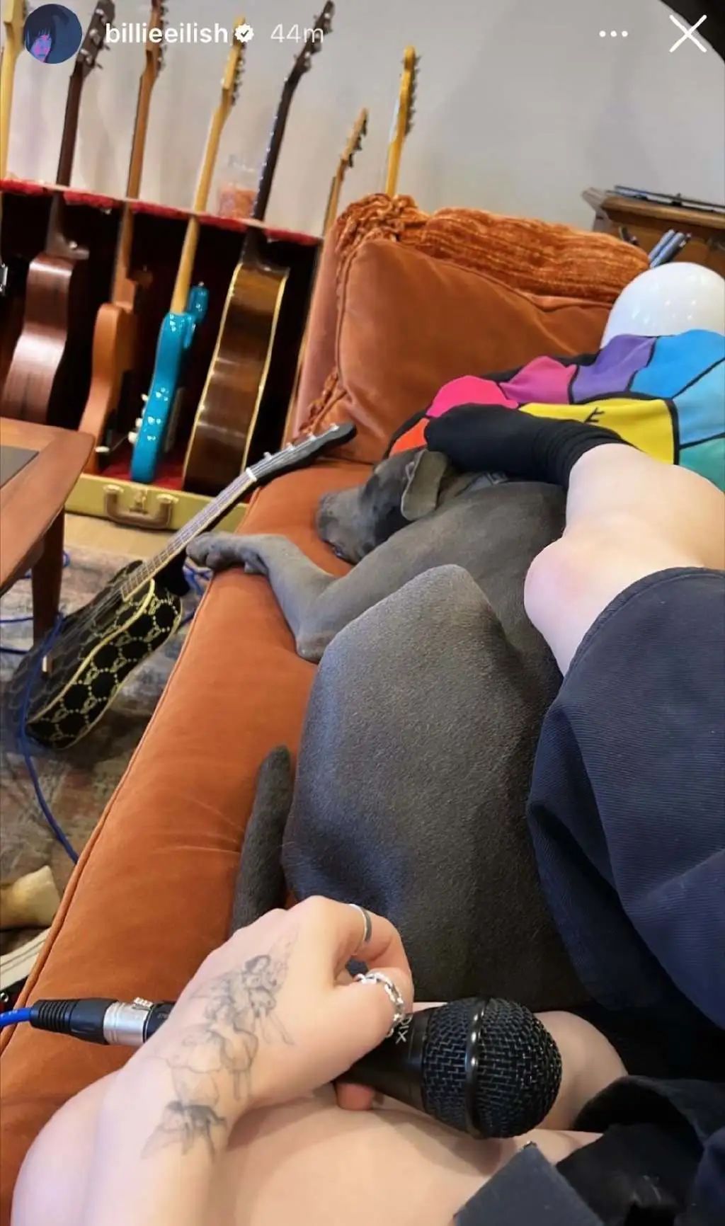 21岁天才唱作少女被曝光恋情！男友大十岁，粉丝：妹妹你图啥…