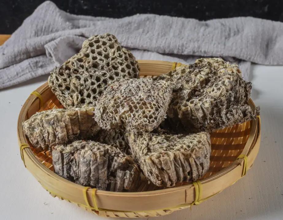 化痰散结，这几味虫类药材，助你“吃掉”肠息肉