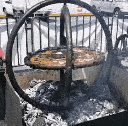 新手为什么不养鳄龟,养了一年的鳄龟怎么一点都不凶