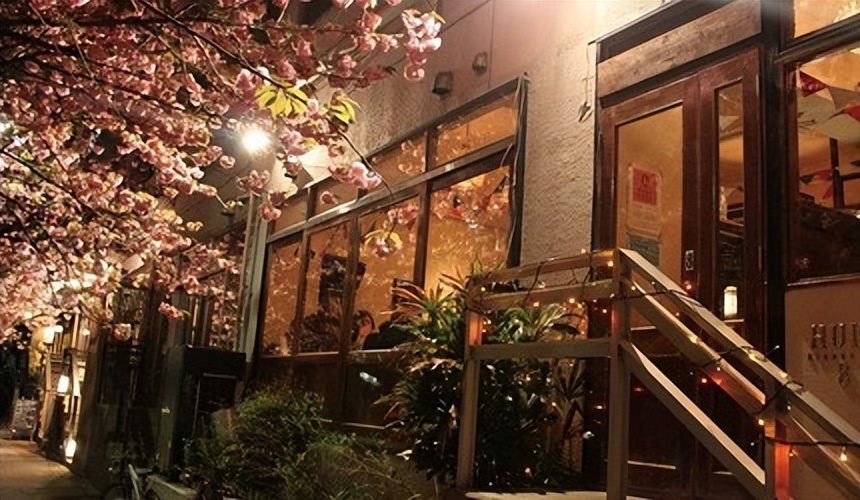 东京目黑川赏樱,东京中目黑樱花