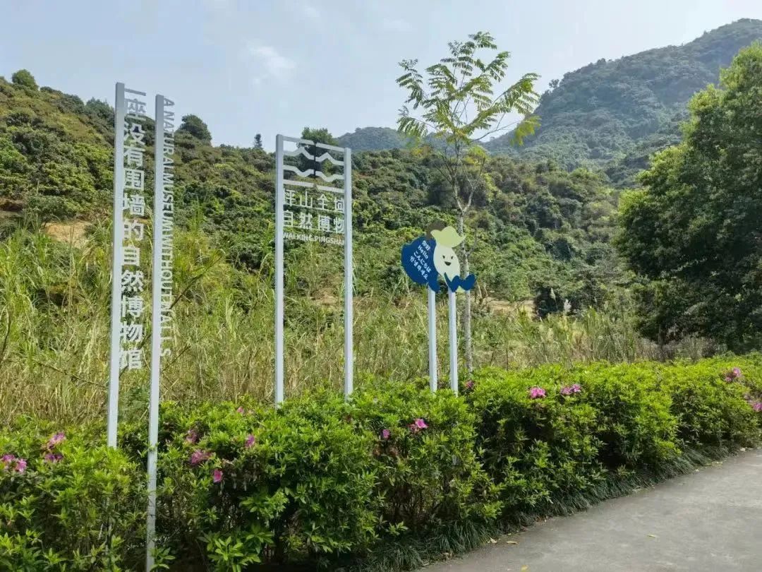 今天深圳地铁有开通吗,今天深圳地铁开通了吗