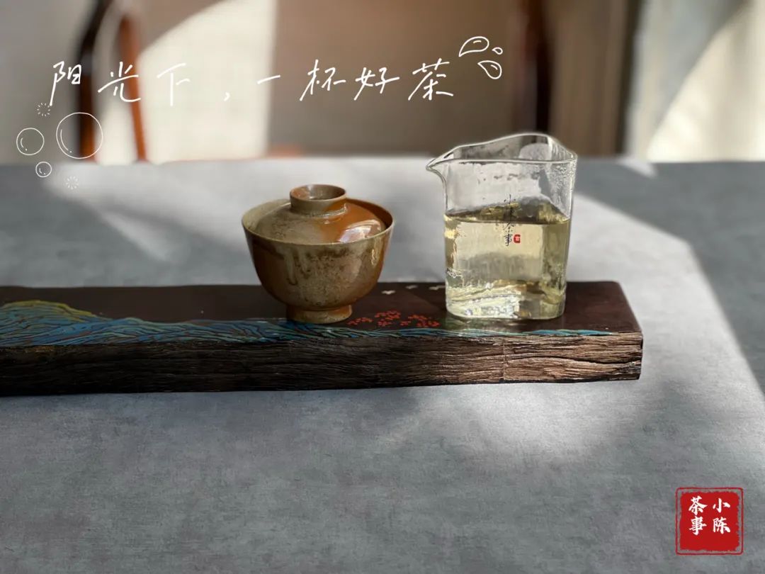 买茶100个经验,新手零基础买茶指南