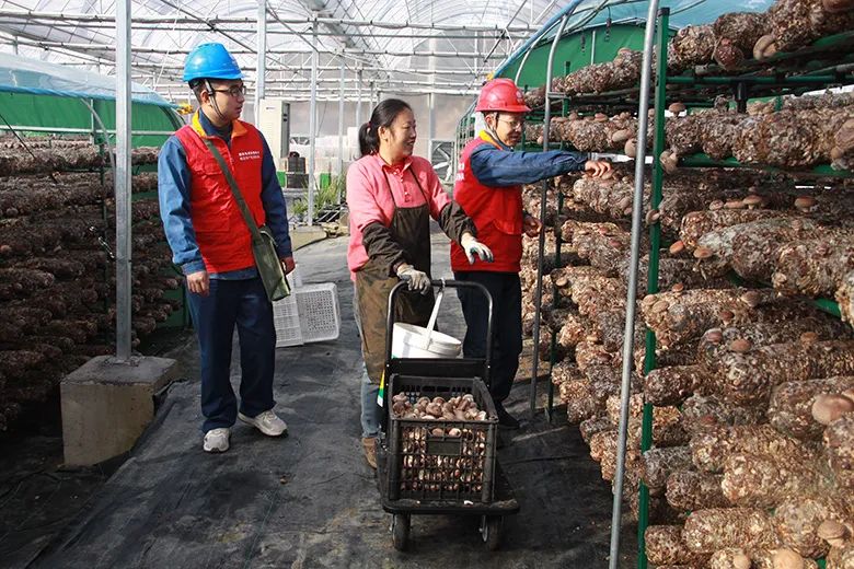 春节保电工作的措施,春节保电温馨提示