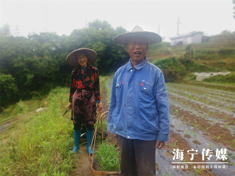 “山里好货,想吃!”武义高山玉米西瓜今天直通海宁