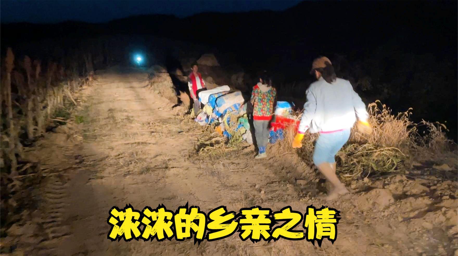 武川土豆装车,内蒙古武川土豆