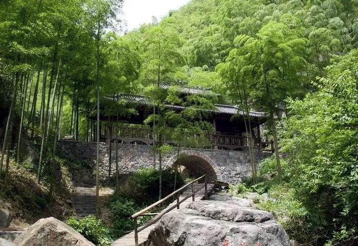 江浙沪附近避暑民宿,夏天莫干山性价比民宿推荐