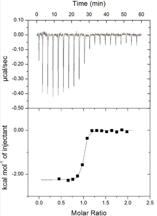 唾液酸与杜克雷嗜血杆菌周质结合蛋白之间相互作用的分子特征