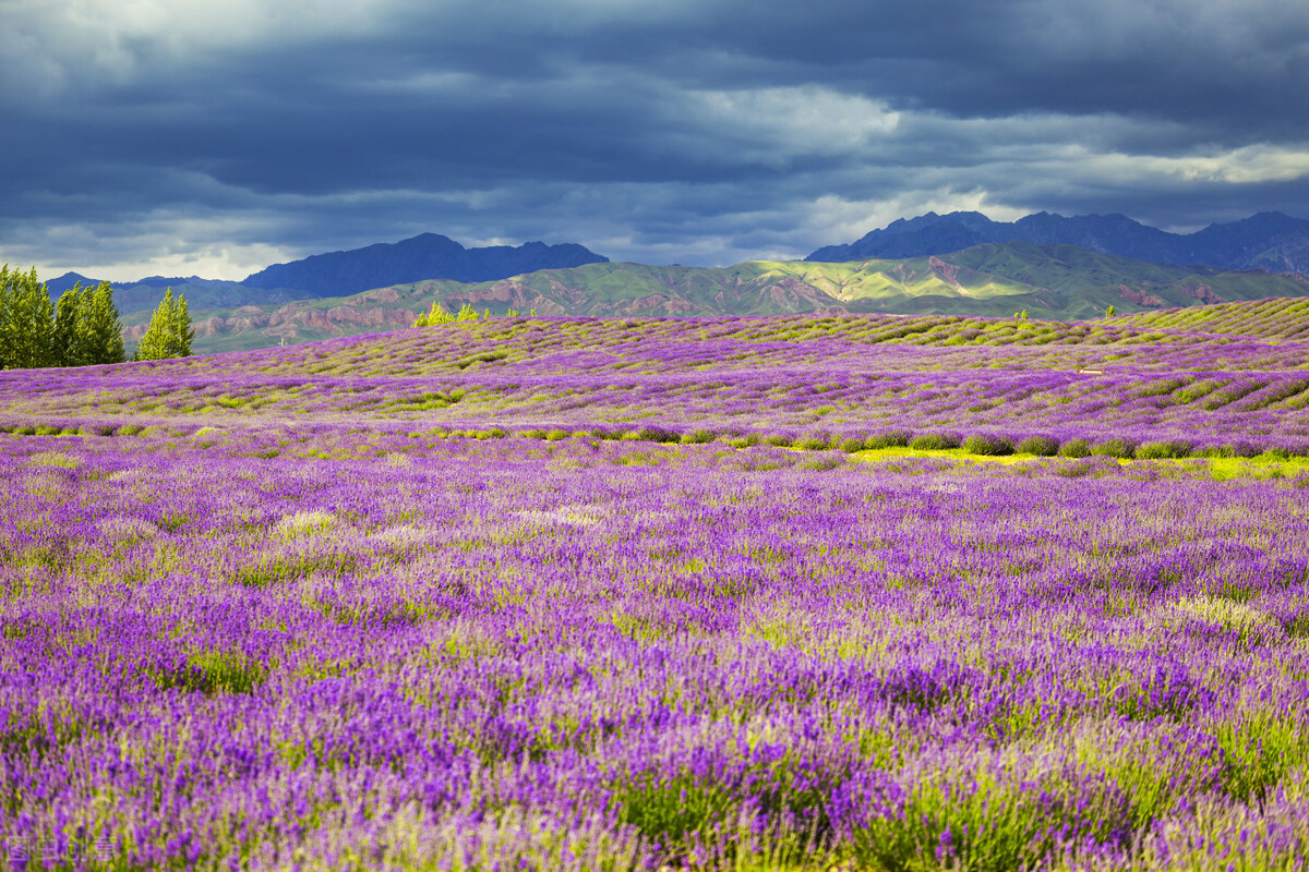 “狠”到“点子上”的女人，不吼不骂不怨赢到最后