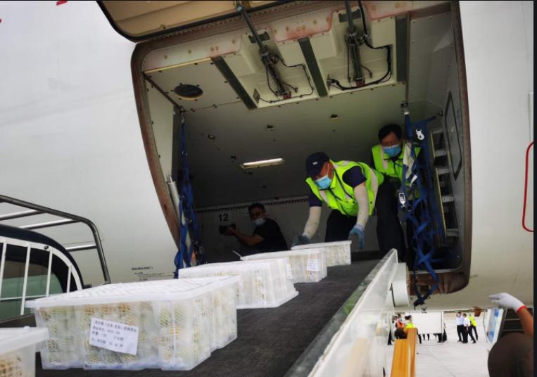 绝地求生运输飞机,绝地求生机场霸主送快递