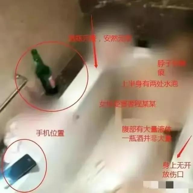 巴厘岛命案调查细节公布,巴厘岛命案最新分析