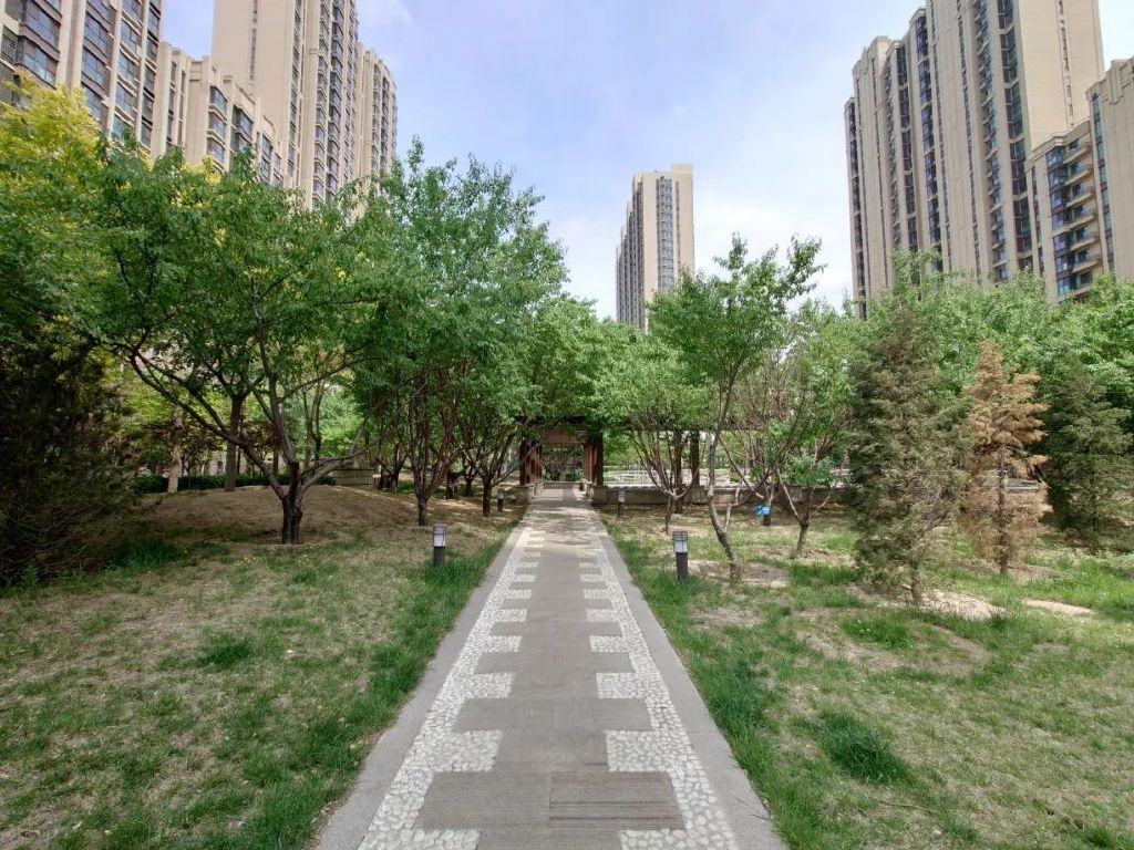 谁是影像机皇,谁才是手机机皇