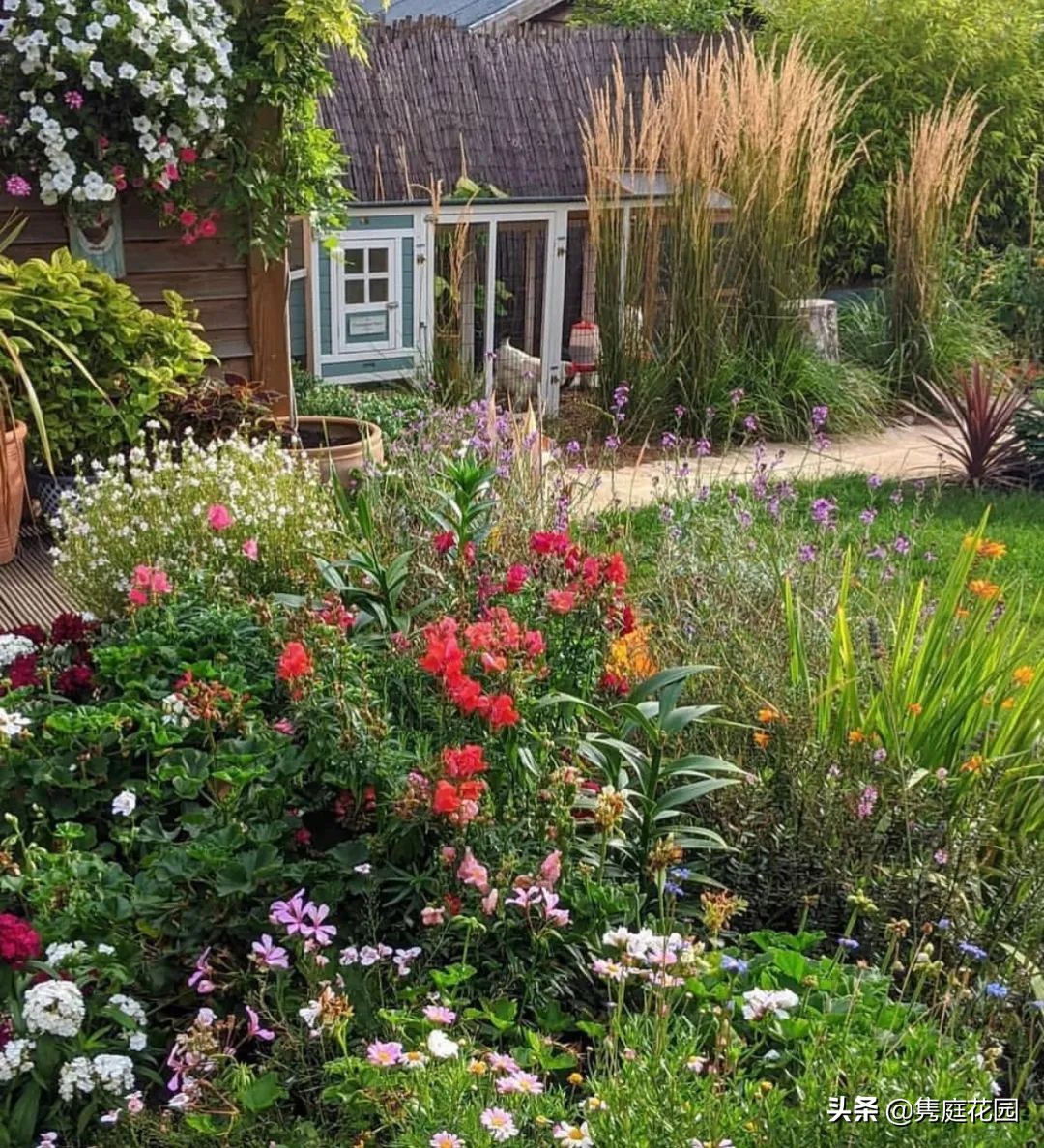 院子的生活才美好,一个装满生活气息的院子