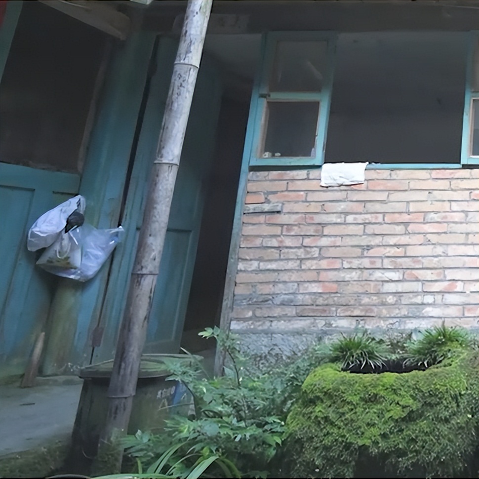 田园风光美丽的农家小院,美丽庭院装点幸福生活