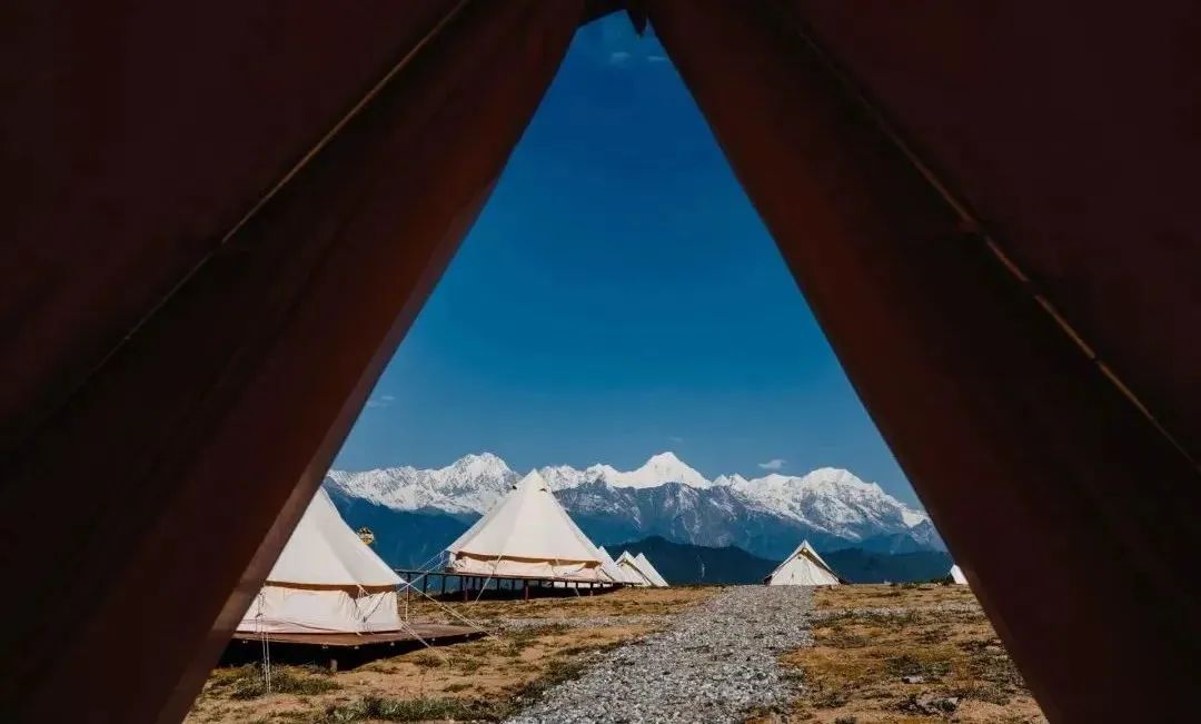 非遗奇遇记端午赛龙舟,端午节赛龙舟比较有特色文艺活动