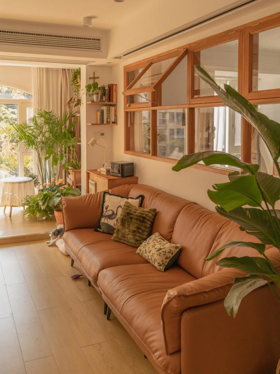 家里适合养什么大盆栽绿植,室内盆栽什么绿植好养