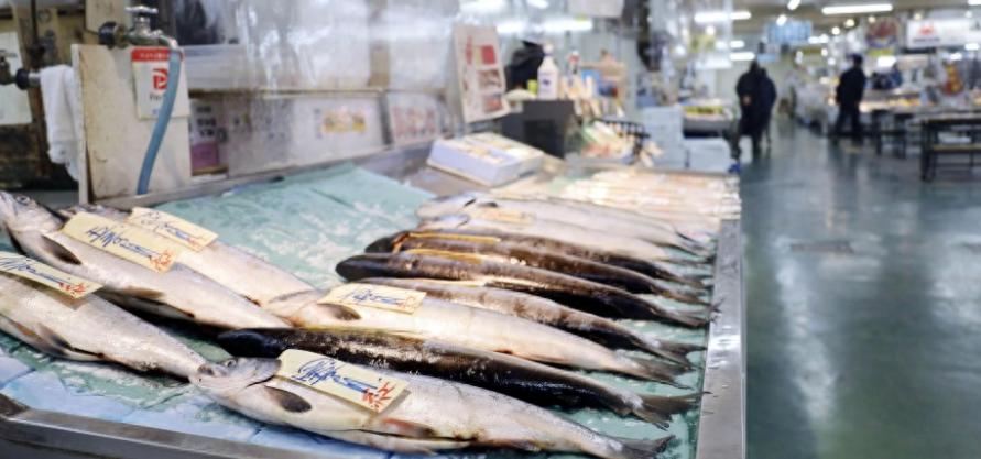 韩媒谈日本排核污水,日本排核污水朝鲜反应