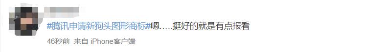 腾讯微信有新“狗头”表情了?这设计有点欠揍